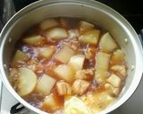 大根と鶏肉のピリ辛煮作り方6写真