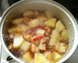 大根と鶏肉のピリ辛煮作り方8写真
