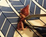ボイルホタルイカ作り方3写真