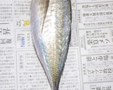 肴鯖鯵鯛鰯鮭鮪鮨！魚の三枚おろしの基本！作り方36写真