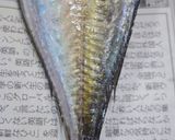 肴鯖鯵鯛鰯鮭鮪鮨！魚の三枚おろしの基本！作り方37写真