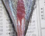 肴鯖鯵鯛鰯鮭鮪鮨！魚の三枚おろしの基本！作り方39写真