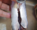 肴鯖鯵鯛鰯鮭鮪鮨！魚の三枚おろしの基本！作り方45写真