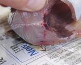 肴鯖鯵鯛鰯鮭鮪鮨！魚の三枚おろしの基本！作り方46写真