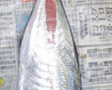 肴鯖鯵鯛鰯鮭鮪鮨！魚の三枚おろしの基本！作り方54写真