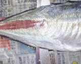 肴鯖鯵鯛鰯鮭鮪鮨！魚の三枚おろしの基本！作り方56写真