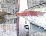 肴鯖鯵鯛鰯鮭鮪鮨！魚の三枚おろしの基本！作り方57写真