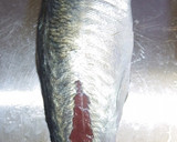 肴鯖鯵鯛鰯鮭鮪鮨！魚の三枚おろしの基本！作り方64写真