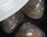 リカちゃん♡蛤の豆乳味噌スープ作り方8写真