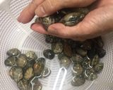 風味豊か☺発酵あさりごはん作り方2写真