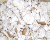 カレー伝導師のきのこだけのカレースープ作り方6写真