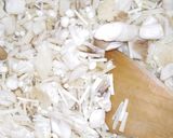 カレー伝導師のきのこだけのカレースープ作り方7写真