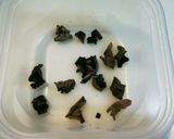 にらと春雨の中華風炒め♪作り方1写真