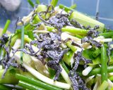 デパ地下の味☆簡単☆鶏サラダ作り方4写真