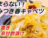 やみつきキャベツピリ辛甘酢漬け 作り置き作り方6写真