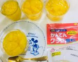 八朔の缶詰風作り方6写真