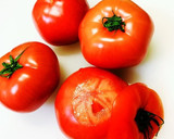 超簡単！切って煮るだけ濃厚トマトスープ作り方1写真