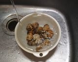 超簡単！ペットボトルであさりの砂抜き作り方1写真