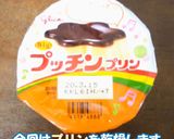[干しプリン] 驚く美味しさ｜食品乾燥機作り方1写真