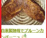 自家製酵母でプルーンカンパーニュ作り方13写真