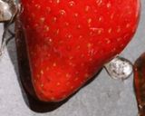 簡単 イチゴ飴作り方6写真