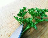 乾燥イタリアンパセリの作り方(少量編)作り方1写真