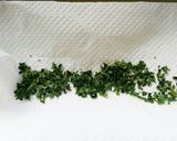 乾燥イタリアンパセリの作り方(少量編)作り方3写真