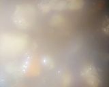 お泊まり会☺️遊ぶ前に準備カレー☺️作り方5写真