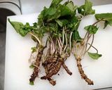 山わさびとキャベツの浅漬け作り方5写真