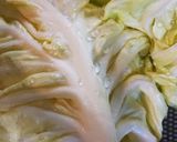 春キャベツとちりめんじゃこのパスタ作り方1写真
