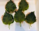 大葉と梅の挟み揚げ作り方3写真