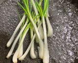 らっきょうのチリマヨ和え作り方4写真