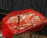 【大根消費】干し大根のピリ辛メンマ風作り方2写真