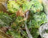 全てレンジ胸肉根菜ヤンニョムチキン風蒸煮作り方11写真