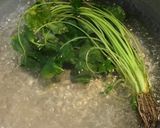 三つ葉と海苔の酢のもの作り方4写真