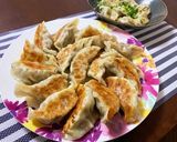 春キャベツたっぷりジューシー餃子作り方6写真