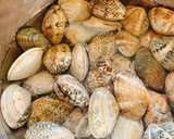 あさりと小松菜（ほうれん草）のお味噌汁作り方1写真