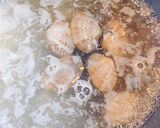 あさりと小松菜（ほうれん草）のお味噌汁作り方4写真