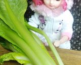 リカちゃん♡8つあるかな？八宝菜…風炒め作り方1写真
