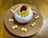 犬用お誕生日ケーキ♡作り方7写真