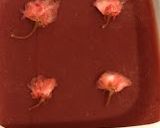 お花見ようかん作り方5写真