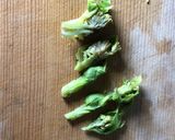 ふきのとうのお味噌汁作り方3写真