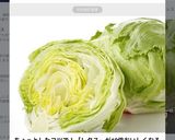 レタスを10倍美味しくするちぎり方作り方8写真