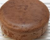 カシスとチョコの4段ネイキッドケーキ作り方26写真