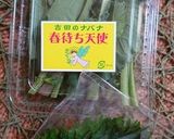 華やかちらし寿司作り方6写真
