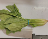 五分で完成！基本のほうれん草の胡麻和え作り方4写真