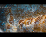 のり弁当を作ろう！ フライ・磯部揚げ編作り方9写真