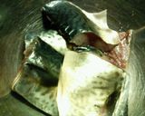 鯖ソテー✿焦げてないデス❀黒ゴマです✿作り方1写真