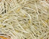 ご飯がもりもりススム？！もやしナムル2作り方4写真