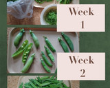 豆ご飯②(簡単)作り方1写真